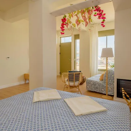 Exoporta * カラマタ