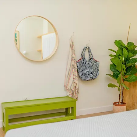 Exoporta Каламата